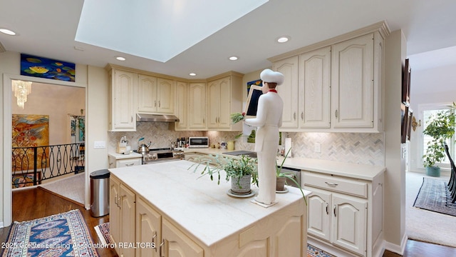 kitchen with wood finished floors, recessed lighting, under cabinet range hood, and stainless steel appliances