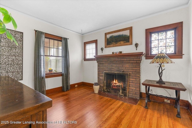 living room featuring crown molding, baseboards, wood finished floors, and a fireplace