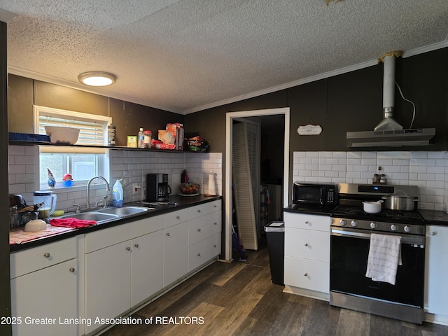 9304-9306 Parkhurst Hwy, Addison, MI 49220 - kitchen with a textured ceiling, crown molding, open shelves, a sink, and stainless steel gas range