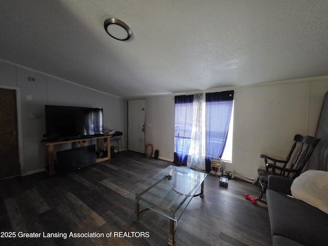 9304-9306 Parkhurst Hwy, Addison, MI 49220 - living area with ornamental molding, a textured ceiling, lofted ceiling, and wood finished floors