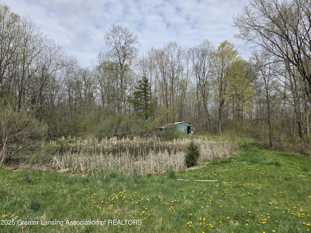 9304-9306 Parkhurst Hwy, Addison, MI 49220 - view of yard featuring a view of trees