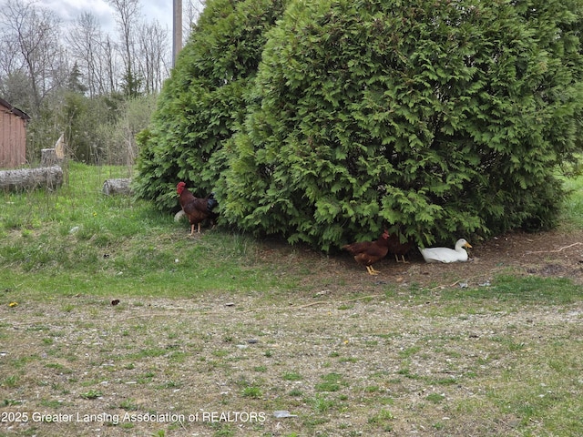 9304-9306 Parkhurst Hwy, Addison, MI 49220 - view of yard