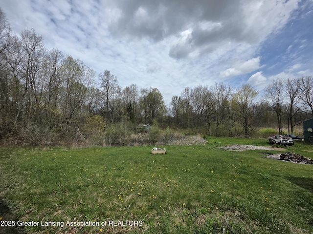 9304-9306 Parkhurst Hwy, Addison, MI 49220 - view of yard