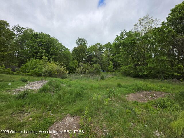 9304-9306 Parkhurst Hwy, Addison, MI 49220 - view of tree filled area