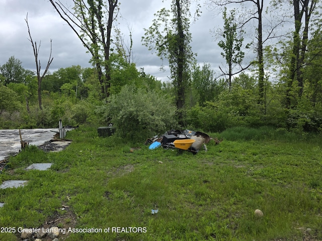 9304-9306 Parkhurst Hwy, Addison, MI 49220 - view of yard featuring a forest view