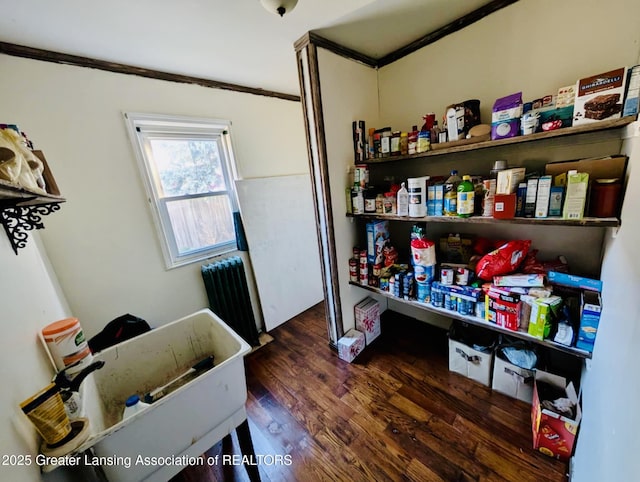 storage area featuring radiator heating unit