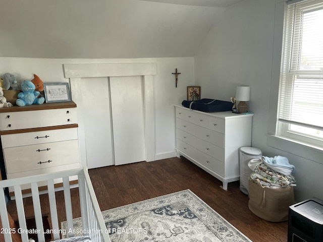 bedroom with multiple windows, a closet, dark wood-style flooring, and lofted ceiling