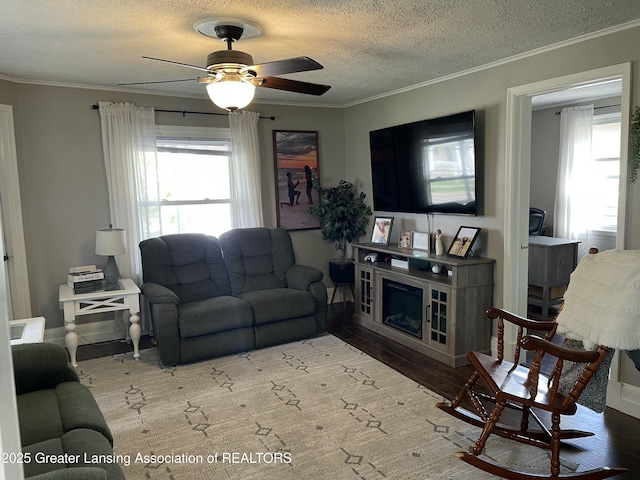 living area featuring a textured ceiling, ceiling fan, plenty of natural light, and wood finished floors