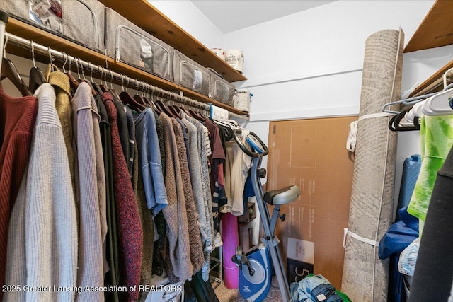 spacious closet featuring carpet floors