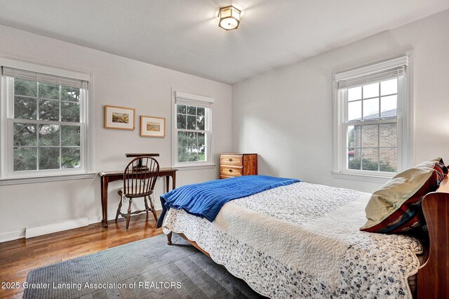 bedroom featuring baseboards, multiple windows, and wood finished floors