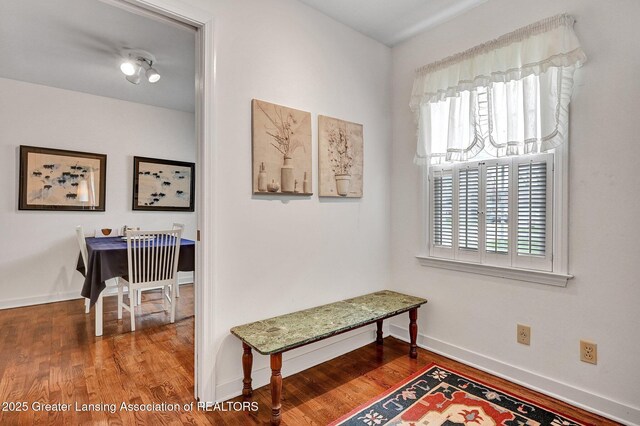 corridor featuring baseboards, a wealth of natural light, and wood finished floors