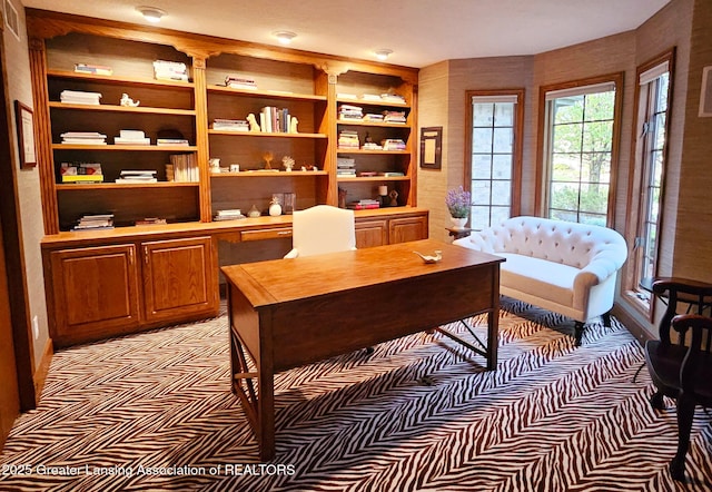 office space featuring built in features
