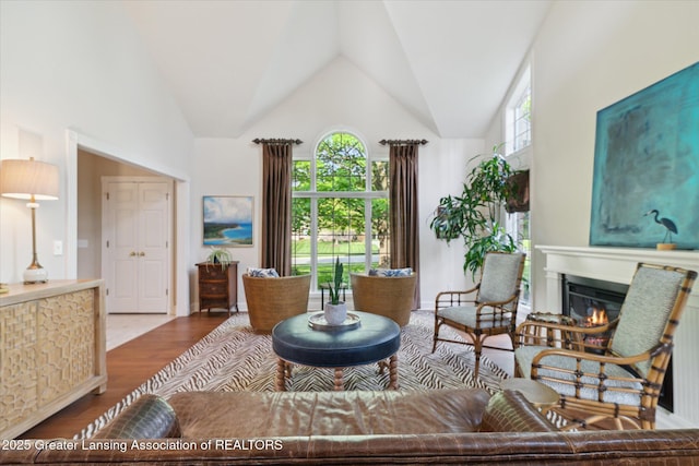 3641 Beech Tree Ln, Okemos, MI 48864 - living area with plenty of natural light, wood finished floors, vaulted ceiling, and a glass covered fireplace