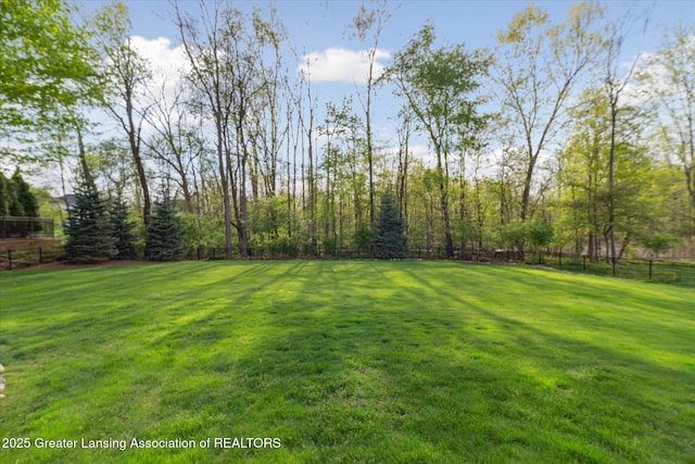3641 Beech Tree Ln, Okemos, MI 48864 - view of yard