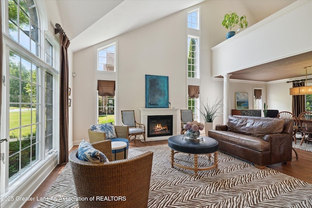 3641 Beech Tree Ln, Okemos, MI 48864 - living area featuring a high ceiling, wood finished floors, plenty of natural light, and a glass covered fireplace