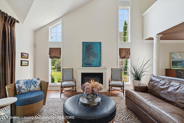 3641 Beech Tree Ln, Okemos, MI 48864 - living area with high vaulted ceiling, a warm lit fireplace, wood finished floors, and decorative columns