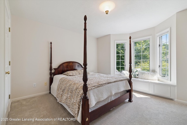 3641 Beech Tree Ln, Okemos, MI 48864 - bedroom featuring multiple windows and light carpet