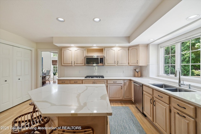 3641 Beech Tree Ln, Okemos, MI 48864 - kitchen with stainless steel appliances, light brown cabinets, light wood-style flooring, backsplash, and light stone counters