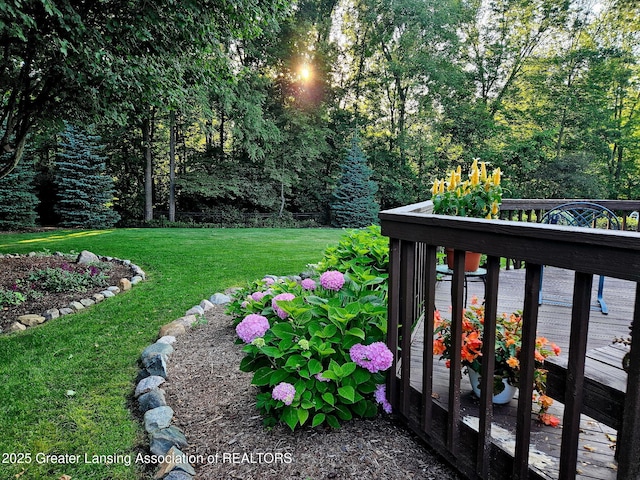 3641 Beech Tree Ln, Okemos, MI 48864 - view of green lawn featuring a deck