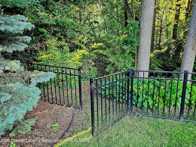 3641 Beech Tree Ln, Okemos, MI 48864 - view of gate