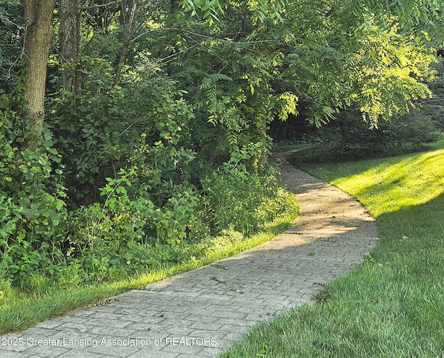 3641 Beech Tree Ln, Okemos, MI 48864 - view of home's community