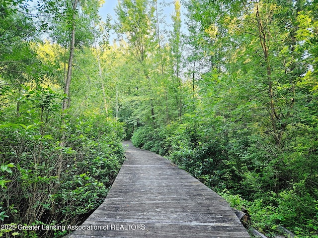 3641 Beech Tree Ln, Okemos, MI 48864 - view of property's community featuring a wooded view
