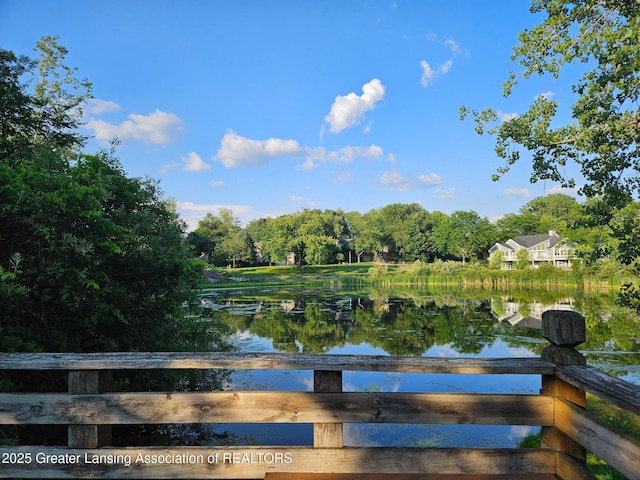 3641 Beech Tree Ln, Okemos, MI 48864 - water view with a tree filled landscape