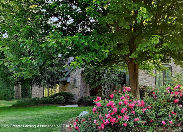 3641 Beech Tree Ln, Okemos, MI 48864 - view of grassy yard
