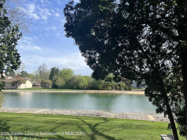 1425 E Lakeside Dr, East Lansing, MI 48823 - water view
