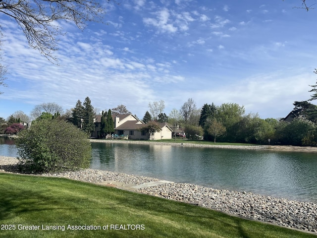 1425 E Lakeside Dr, East Lansing, MI 48823 - view of water feature