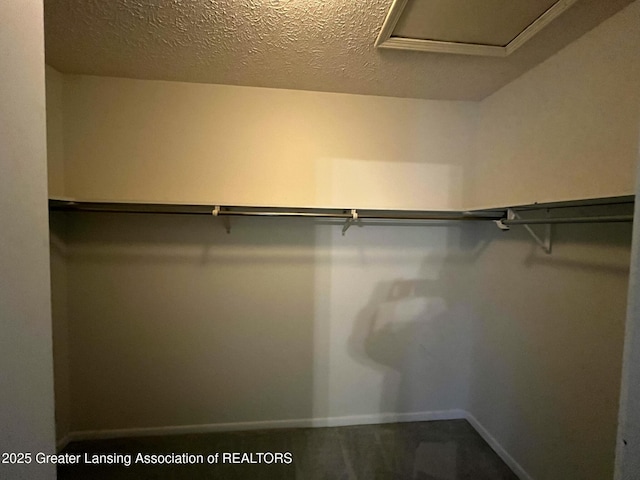1425 E Lakeside Dr, East Lansing, MI 48823 - spacious closet with carpet flooring and attic access