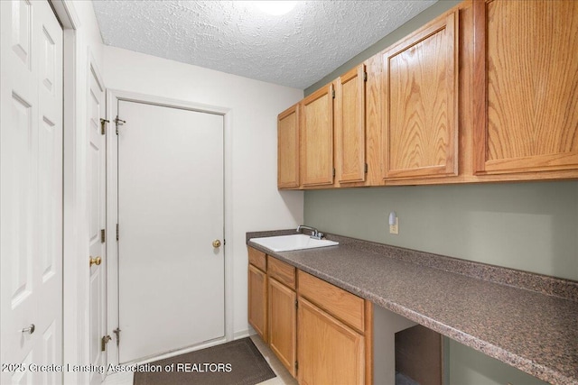 2454 Emerald Lake Dr, East Lansing, MI 48823 - clothes washing area with a sink and a textured ceiling