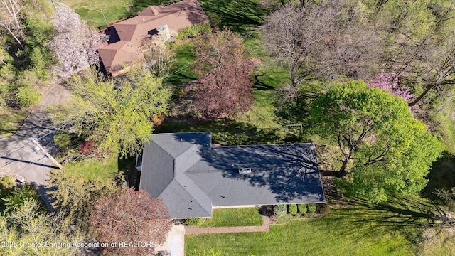 drone / aerial view