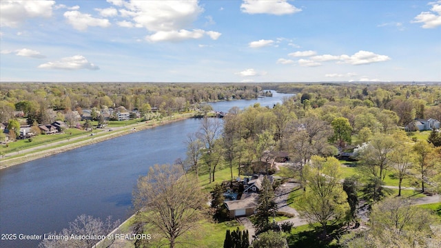 bird's eye view with a water view and a forest view