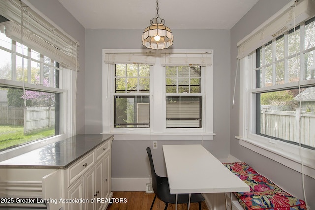 dining space with a healthy amount of sunlight, baseboards, and wood finished floors