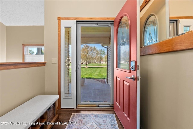 entryway with dark wood-style flooring