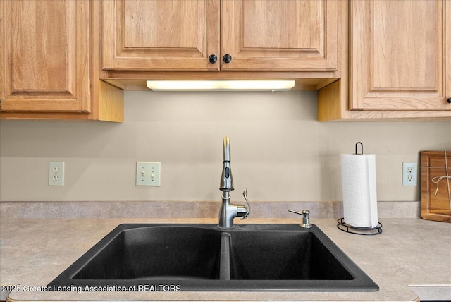 interior details featuring a sink and light countertops