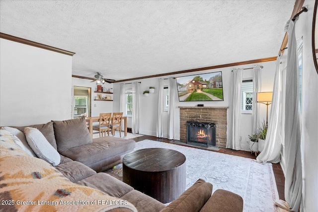 living room featuring ornamental molding, a textured ceiling, wood finished floors, and a fireplace