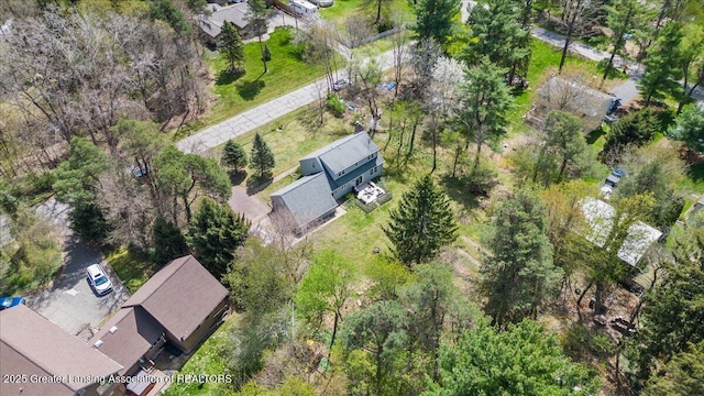 12188 Forest Meadow Dr, Perry, MI 48872 - drone / aerial view