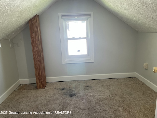 additional living space featuring carpet floors, a textured ceiling, and lofted ceiling