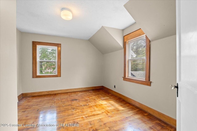 2035 Mary Ave, Lansing, MI 48910 - bonus room with baseboards, lofted ceiling, wood finished floors, and a wealth of natural light