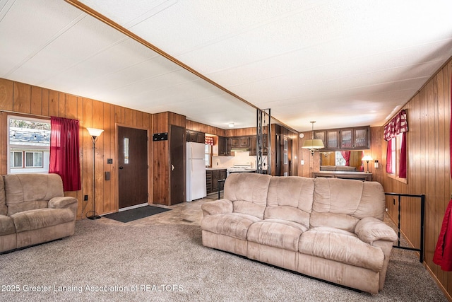 111 Terrace Dr, Houghton Lake, MI 48629 - carpeted living area with wooden walls