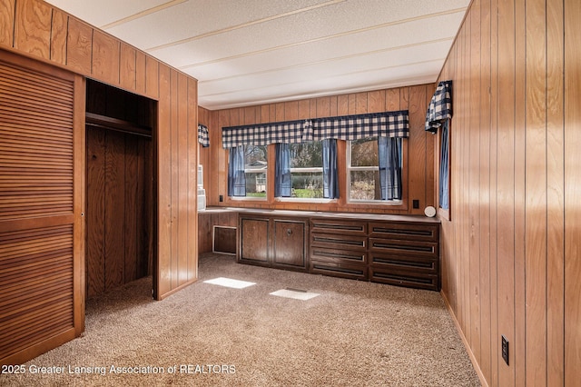 111 Terrace Dr, Houghton Lake, MI 48629 - unfurnished bedroom with wood walls, carpet floors, and a closet