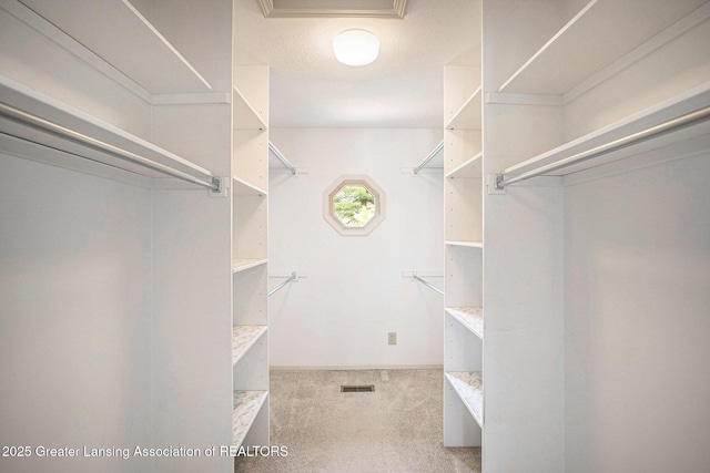 3796 Viceroy Dr, Okemos, MI 48864 - spacious closet featuring carpet flooring