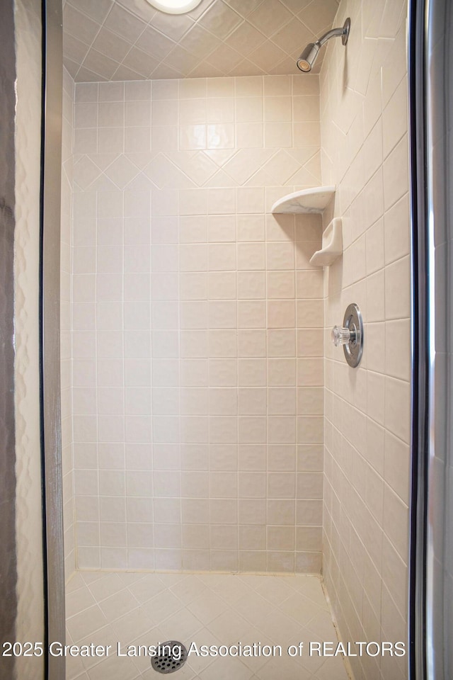 3796 Viceroy Dr, Okemos, MI 48864 - bathroom featuring a shower stall