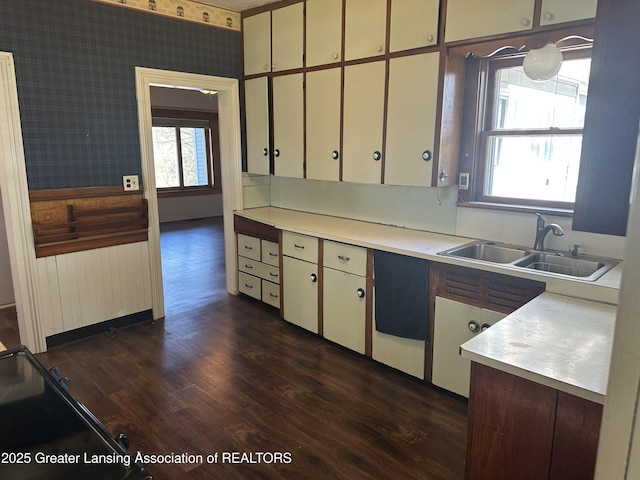 kitchen featuring a sink, dark wood-style floors, and light countertops