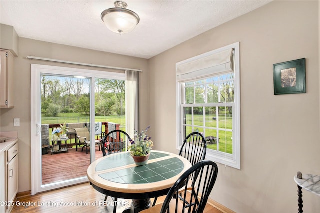 11190 Cobblestone Ln, Grand Ledge, MI 48837 - dining area with light wood-style flooring and baseboards