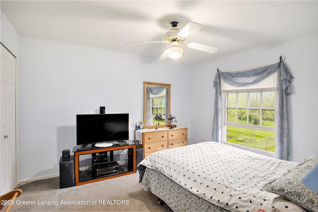 11190 Cobblestone Ln, Grand Ledge, MI 48837 - carpeted bedroom with a ceiling fan and a closet