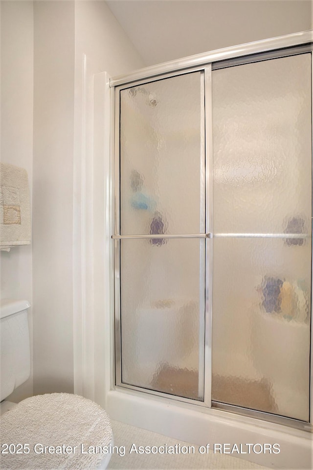 11190 Cobblestone Ln, Grand Ledge, MI 48837 - full bathroom with a shower stall and toilet
