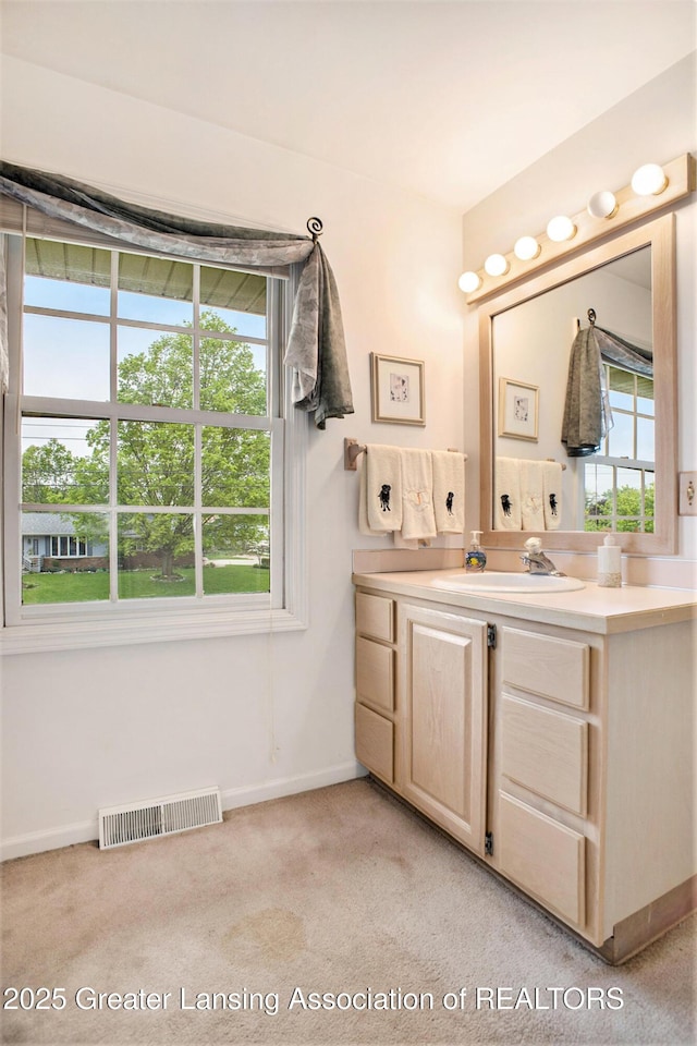11190 Cobblestone Ln, Grand Ledge, MI 48837 - bathroom featuring vanity, baseboards, and carpet